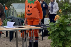 Pumpkin Competition 2021
